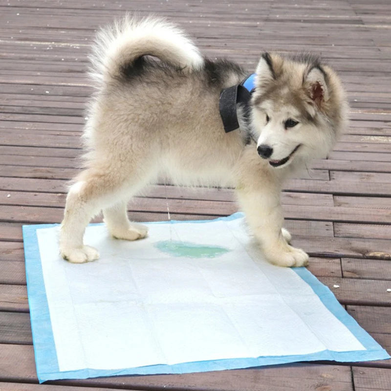 Super Absorbent Pet Diaper Dog Training Pee Pads Disposable Healthy Nappy Mat For Cats Cage Mat