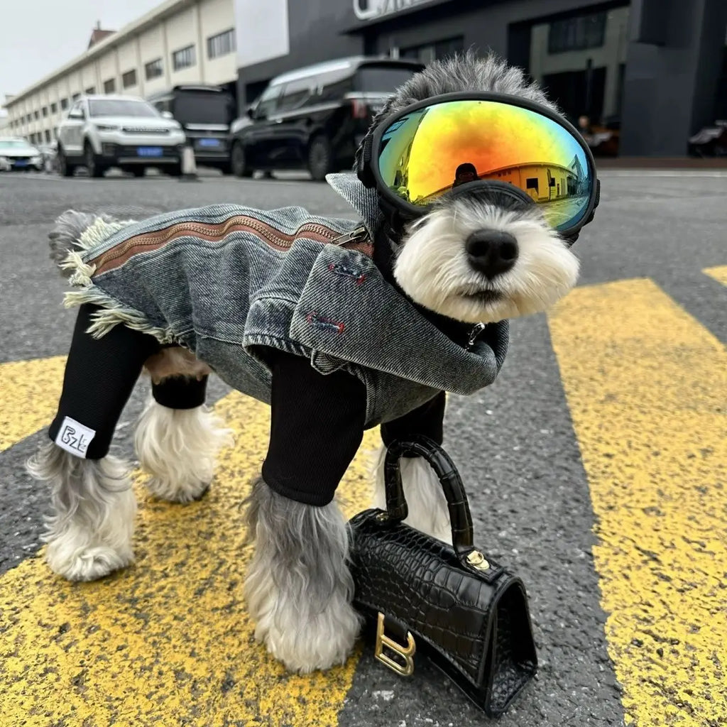 Spring Clothes for Small Medium Dogs Sleeveless Dog Shirt Cool Denim Vest Pet Jean small Dog For Cats Puppies