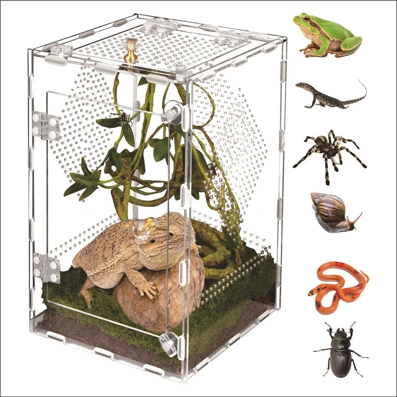 Transparent Acrylic Reptile Terrarium Breeding Box For Geckos Lizards Spiders And Insects Large Desktop Storage For Hobbyist