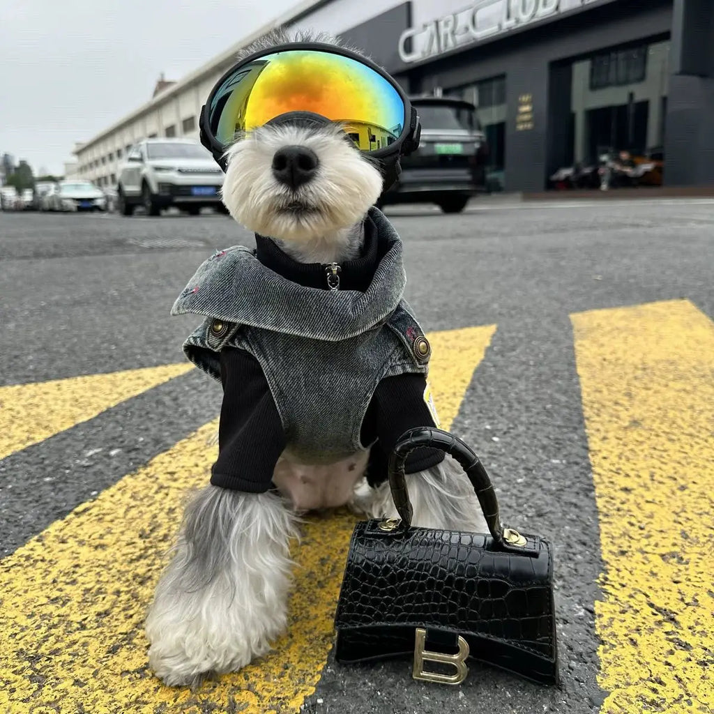 Spring Clothes for Small Medium Dogs Sleeveless Dog Shirt Cool Denim Vest Pet Jean small Dog For Cats Puppies