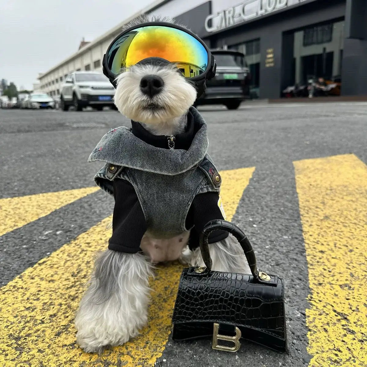 Spring Clothes for Small Medium Dogs Sleeveless Dog Shirt Cool Denim Vest Pet Jean small Dog For Cats Puppies