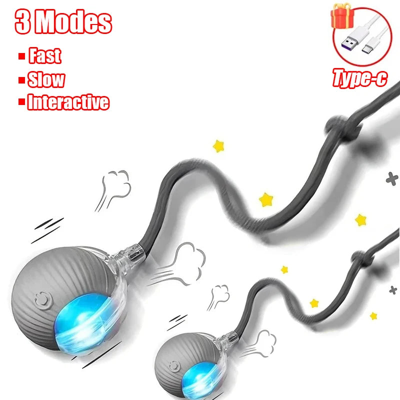New Cat Interactive Ball Toy Automatic Rolling Ball Faux Tail Rechargeable Smart Pet Electric Toy Dog Cat Training