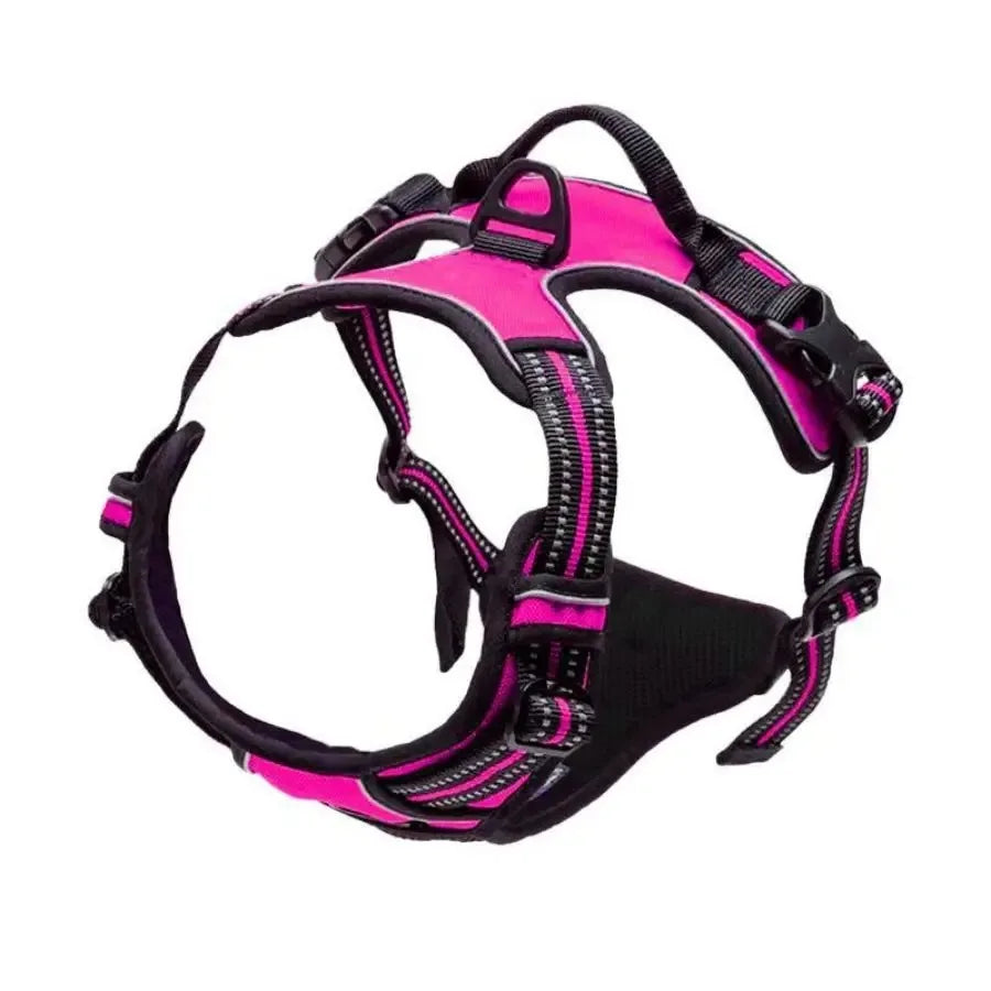 Dog Collars Harness Big Vests Leash  Accessories Medium Small Set