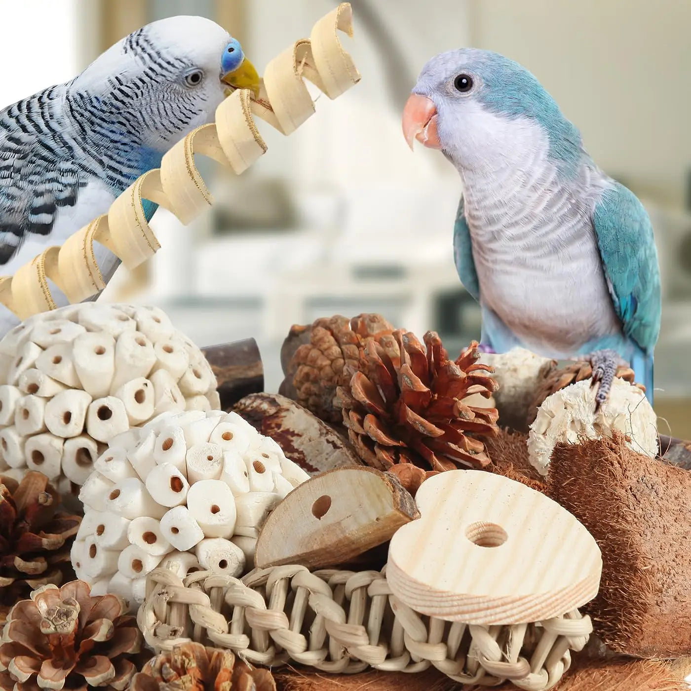 Bird Toys Parrot Natural Bird Foraging Box Foot Toys for Parakeets,Cockatiels,Conures, and Other Small to Medium Birds