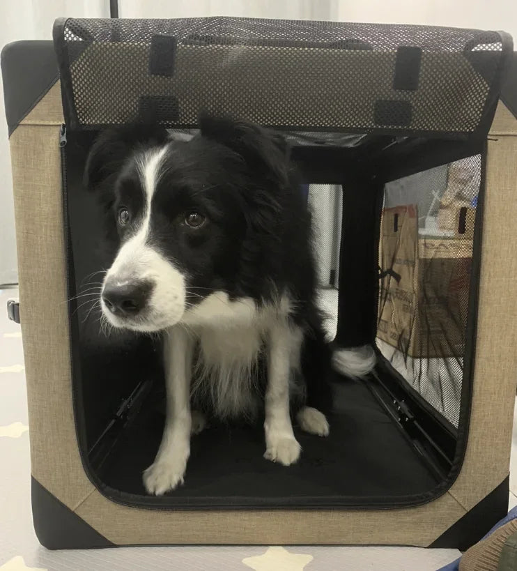 Dog Crate Travel Foldable Pet Crate for Puppy/Small Dog  Fit for Indoor & Outdoor/Car Back Seat/Trunk