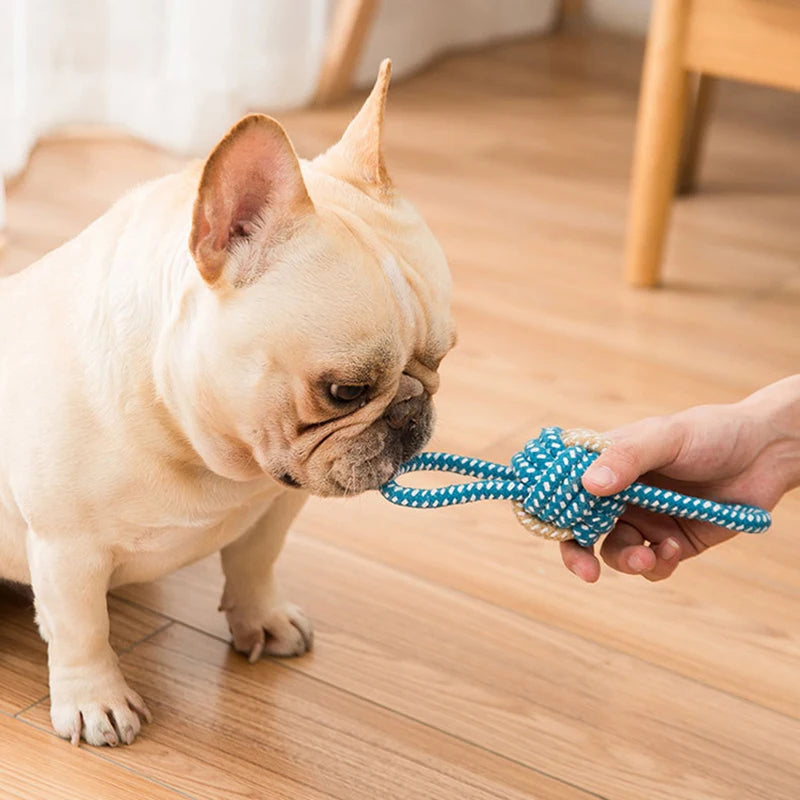 Interactive Cotton Rope Mini Toys Ball for Dogs Accessories Toothbrush Chew Toy for Large Small Dogs