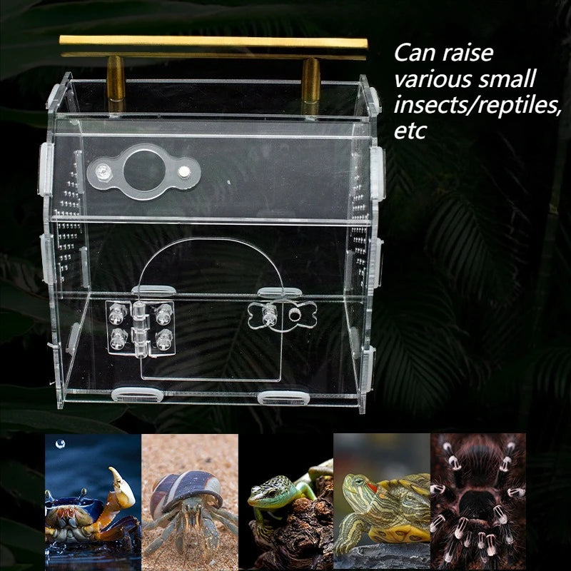 Reptile Terrarium Acrylic Portable  Small Reptile  Box Pet House