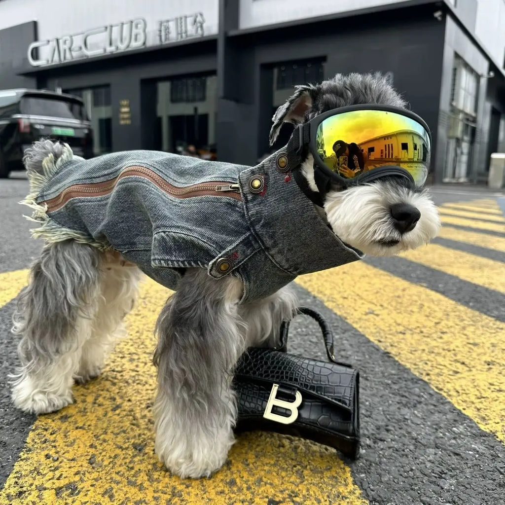 Spring Clothes for Small Medium Dogs Sleeveless Dog Shirt Cool Denim Vest Pet Jean small Dog For Cats Puppies