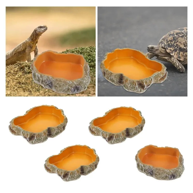 Reptile pet food basin drinking water basin reptile  food basin