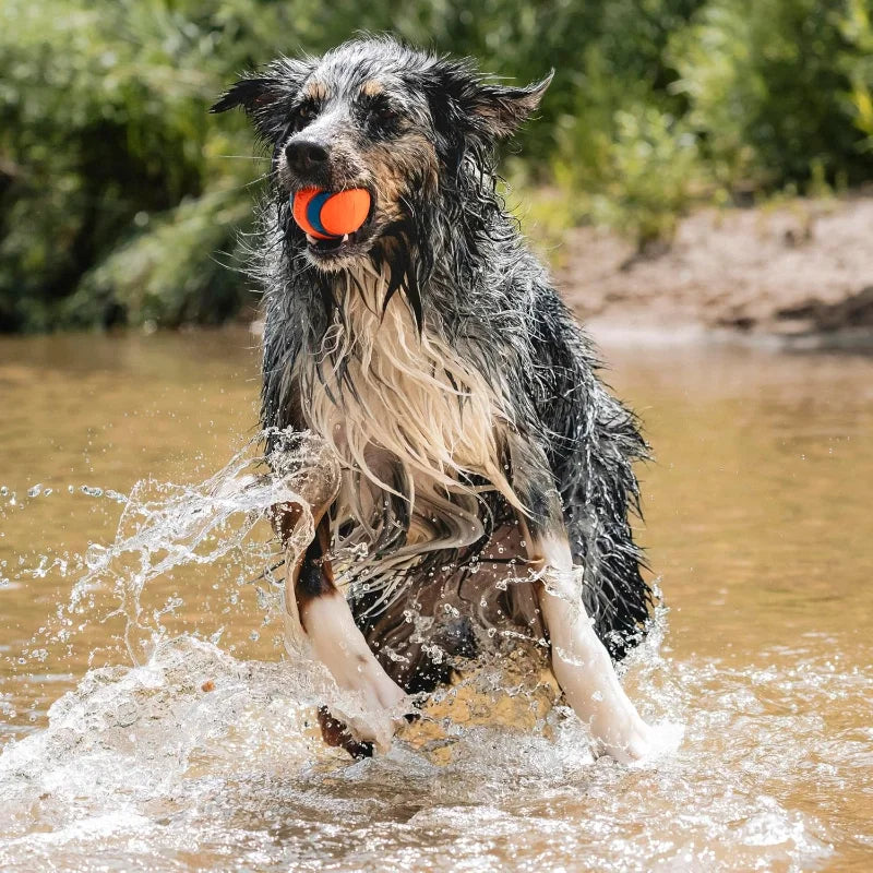 Ultra Ball Dog Toy Size Large For Dogs Made from Durable Rubber Super Bouncy Floats in Water 3-inch Diameter