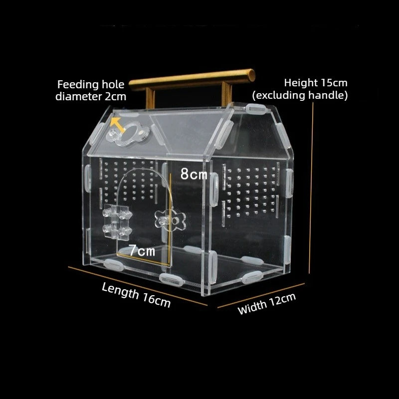 Reptile Terrarium Acrylic Portable  Small Reptile  Box Pet House