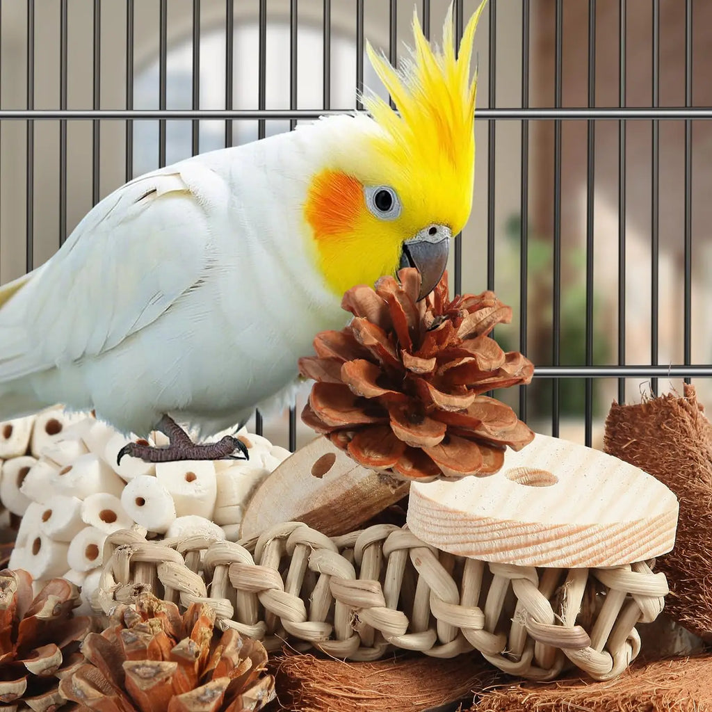 Bird Toys Parrot Natural Bird Foraging Box Foot Toys for Parakeets,Cockatiels,Conures, and Other Small to Medium Birds