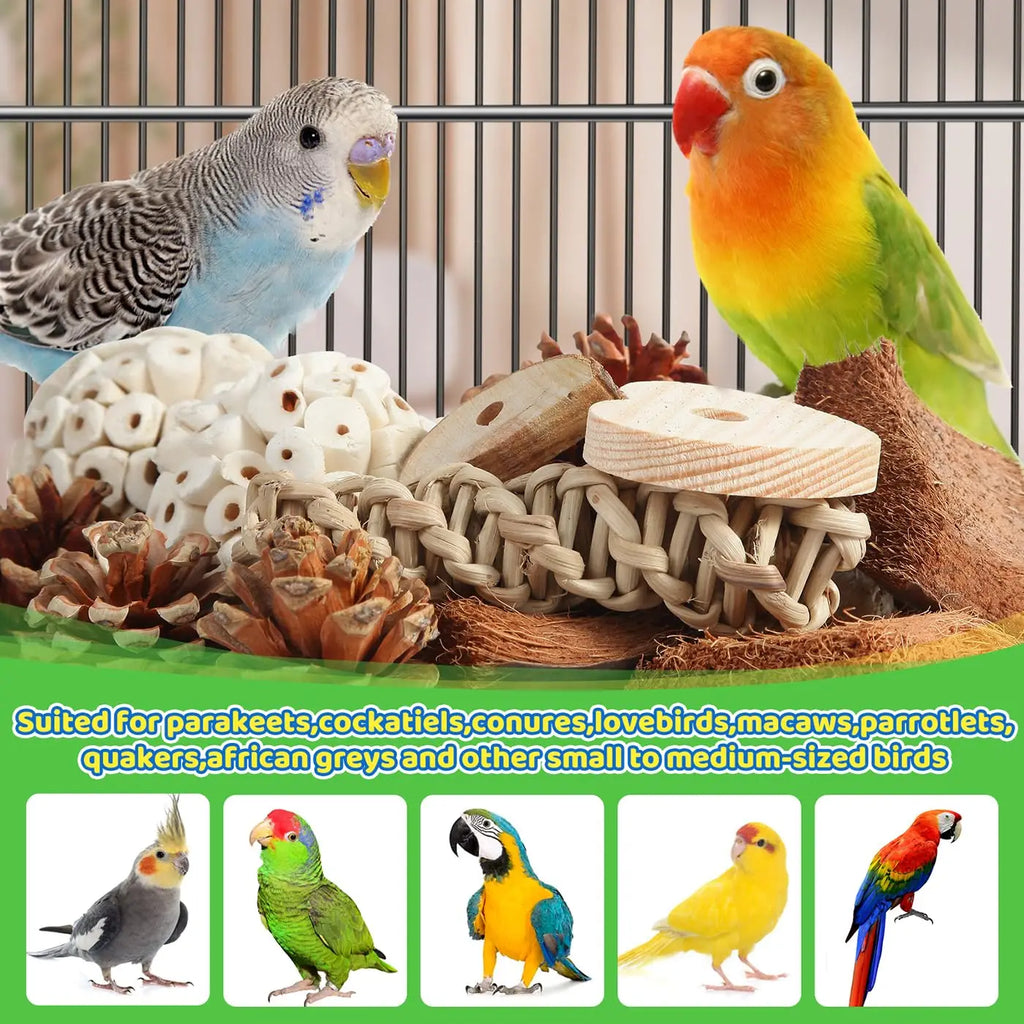 Bird Toys Parrot Natural Bird Foraging Box Foot Toys for Parakeets,Cockatiels,Conures, and Other Small to Medium Birds