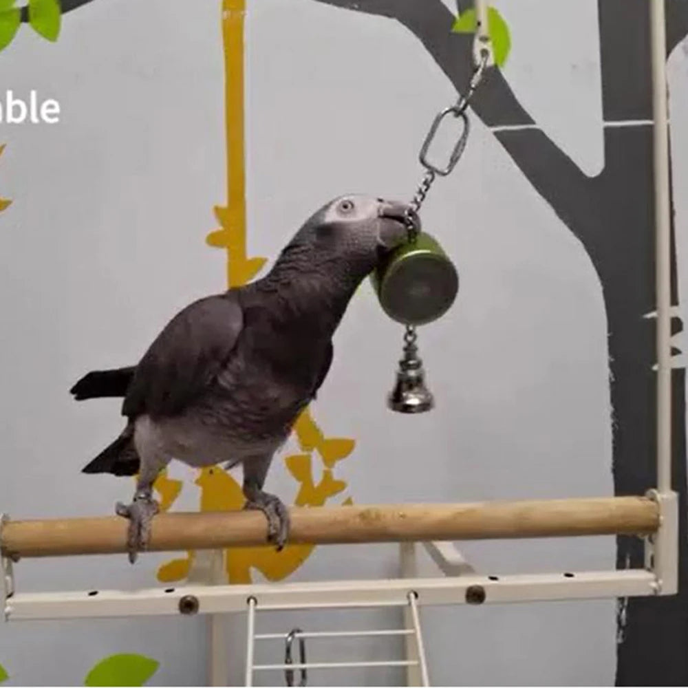 Bird Toys Parrot Talking Coach & Interactive Voice Bell Supplies