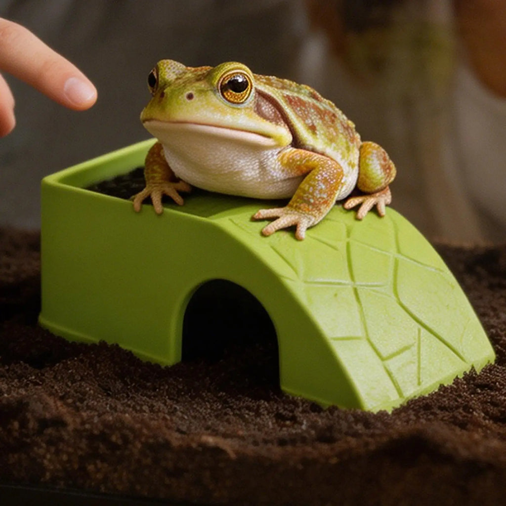 Reptile Feeding Dish 2-in-1 Food & Water Bowl with Shelter Non-Spill Resin Ornament for Bearded Dragon, Turtles Geckos Chameleon