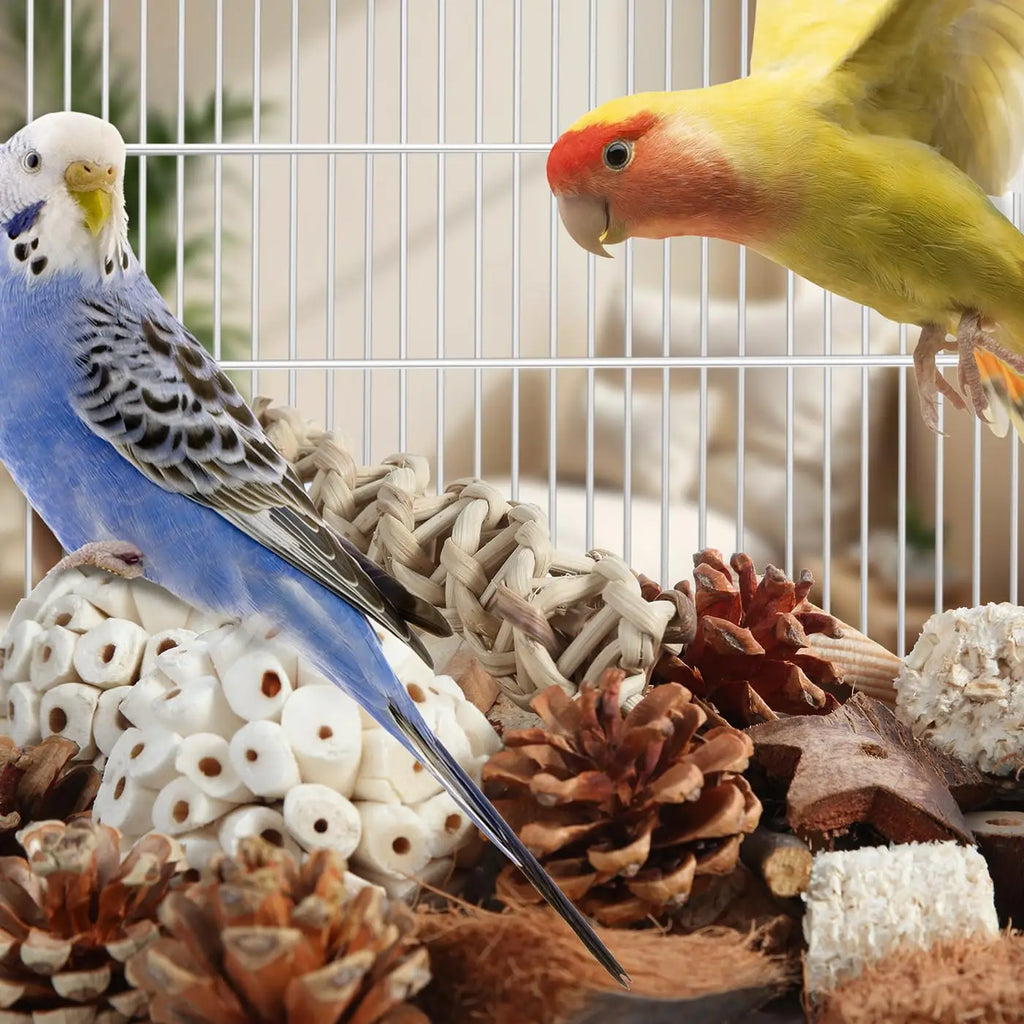 Bird Toys Parrot Natural Bird Foraging Box Foot Toys for Parakeets,Cockatiels,Conures, and Other Small to Medium Birds
