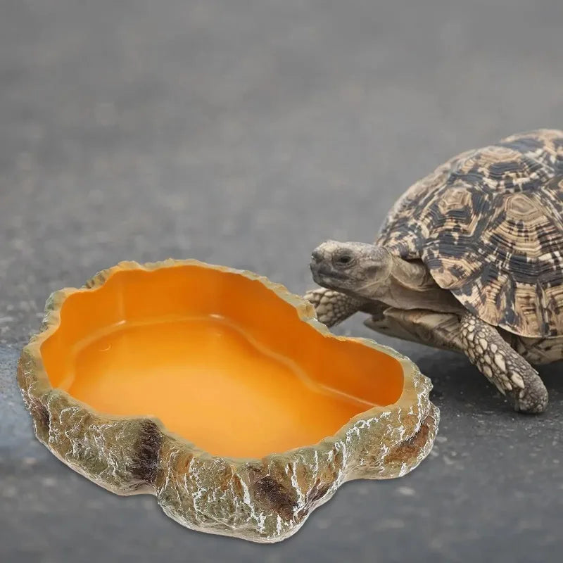 Reptile pet food basin drinking water basin reptile  food basin