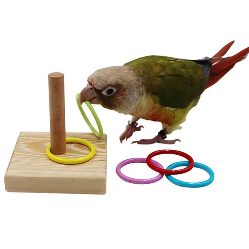 Bird Training Toys Set Wooden Block Puzzle Toys Colorful Plastic Rings Intelligence Training Chew Toy