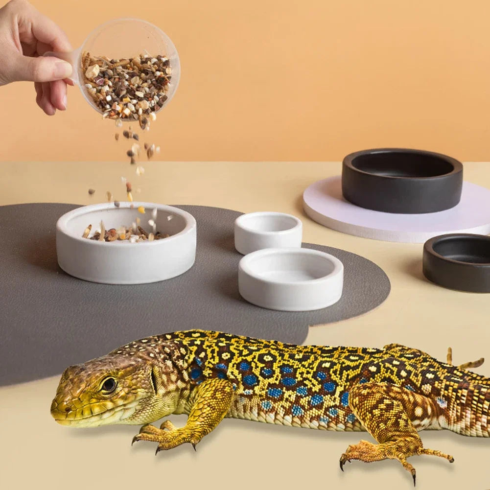 Reptile Food Bowl Anti-Escape Ceramic Feeder Dish Reptile Water Bowl