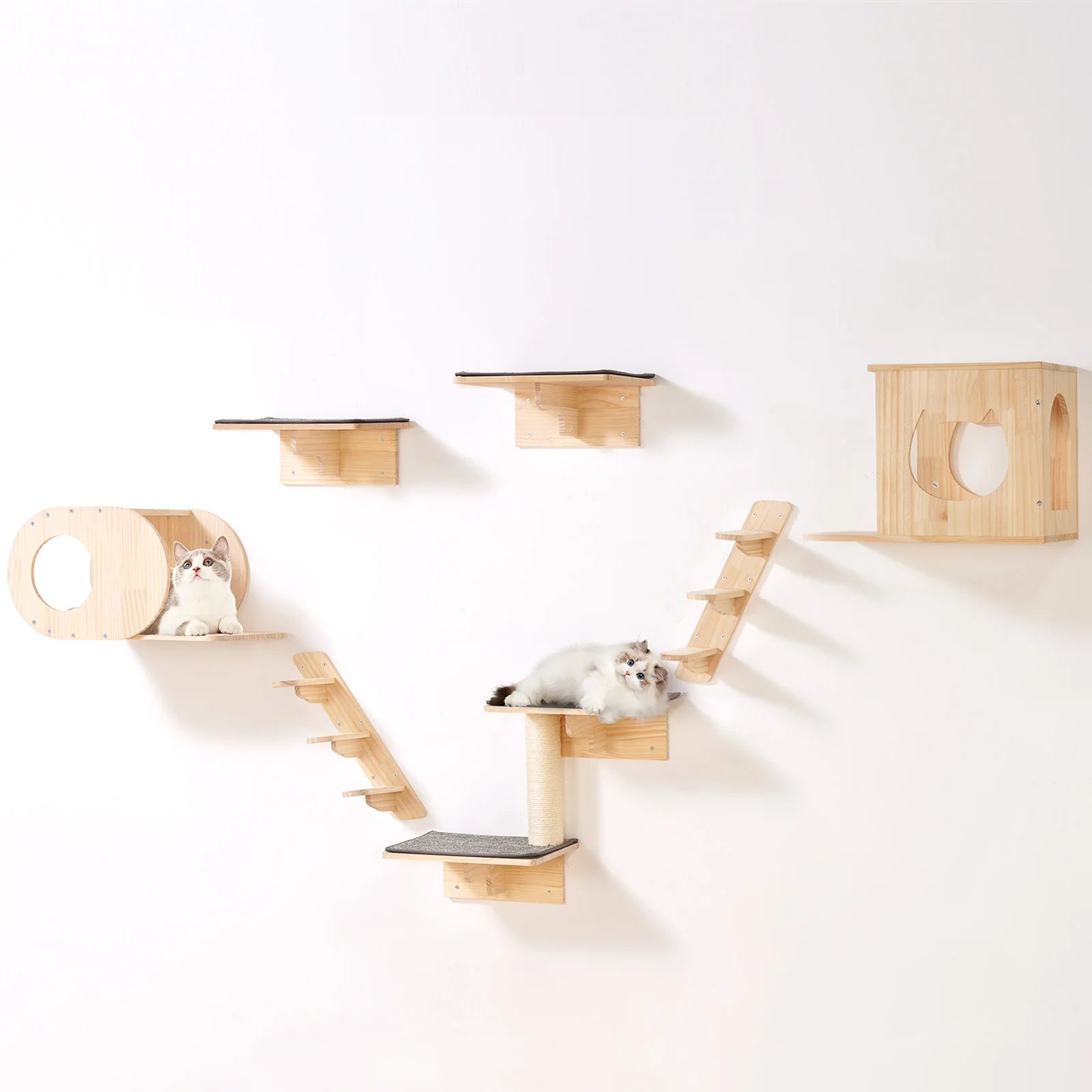 Wall Mounted Cat Wall Shelves and Perches with Jumping Boards Hammocks & Cat Tree