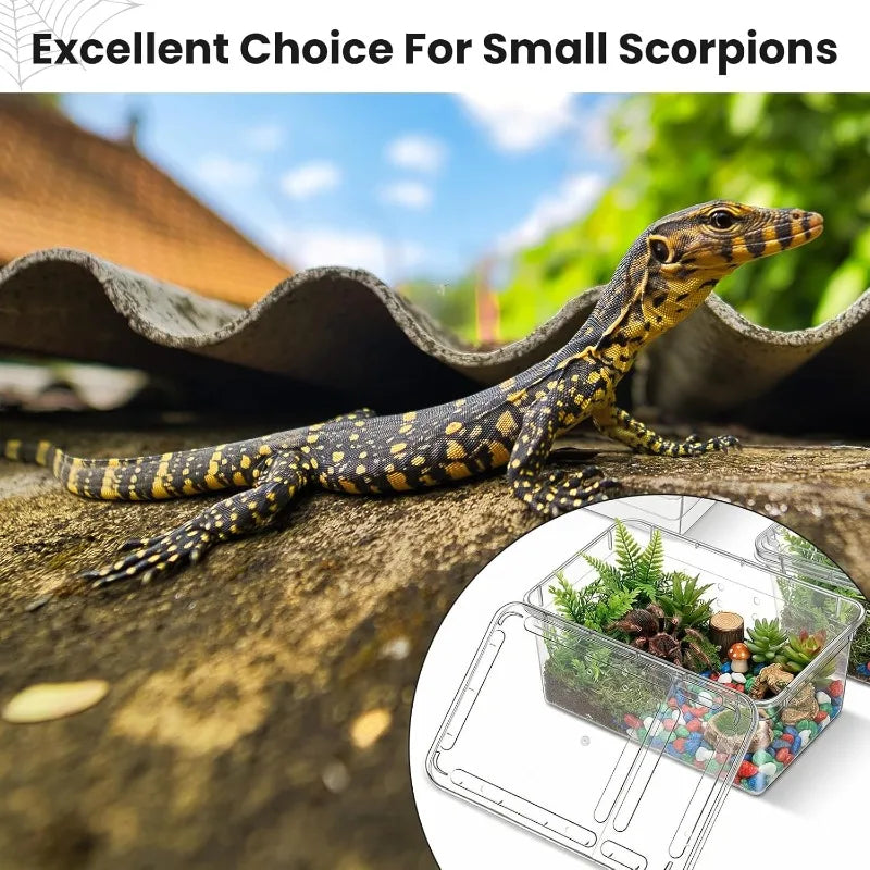 Reptile Box Terrarium  Tank Cage Portable Habitat Enclosure