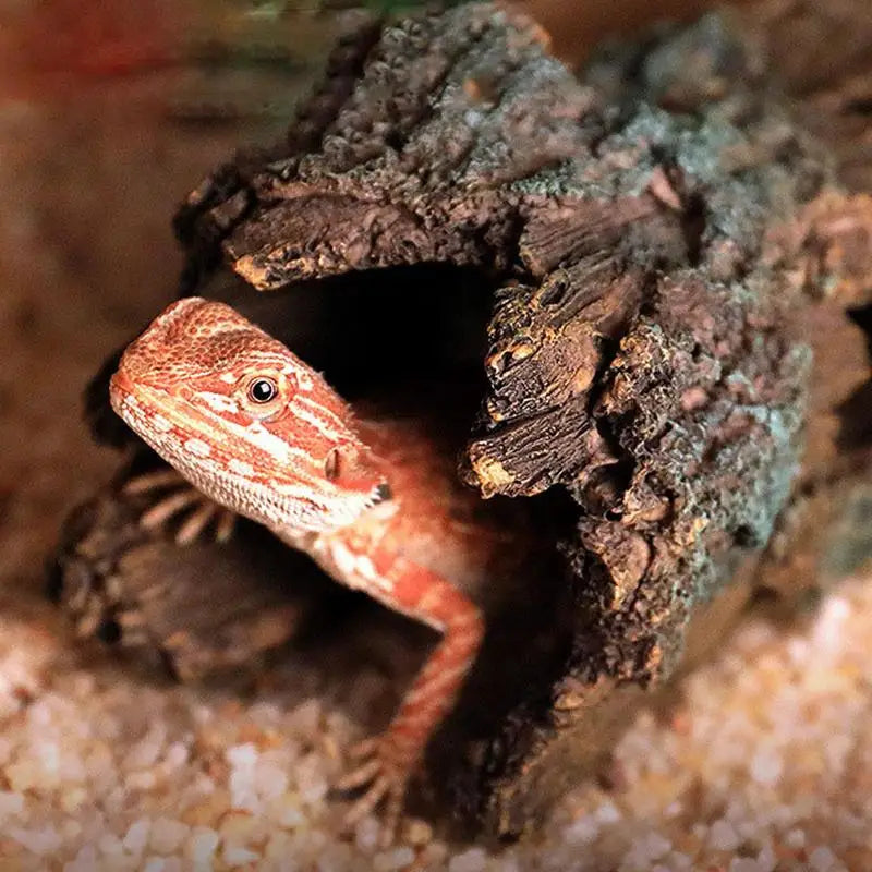Reptile Hide Large Caves Reptile Hideouts Habitat Shelter Decor For Snakes Turtle Lizards Fish Amphibians Small Animals