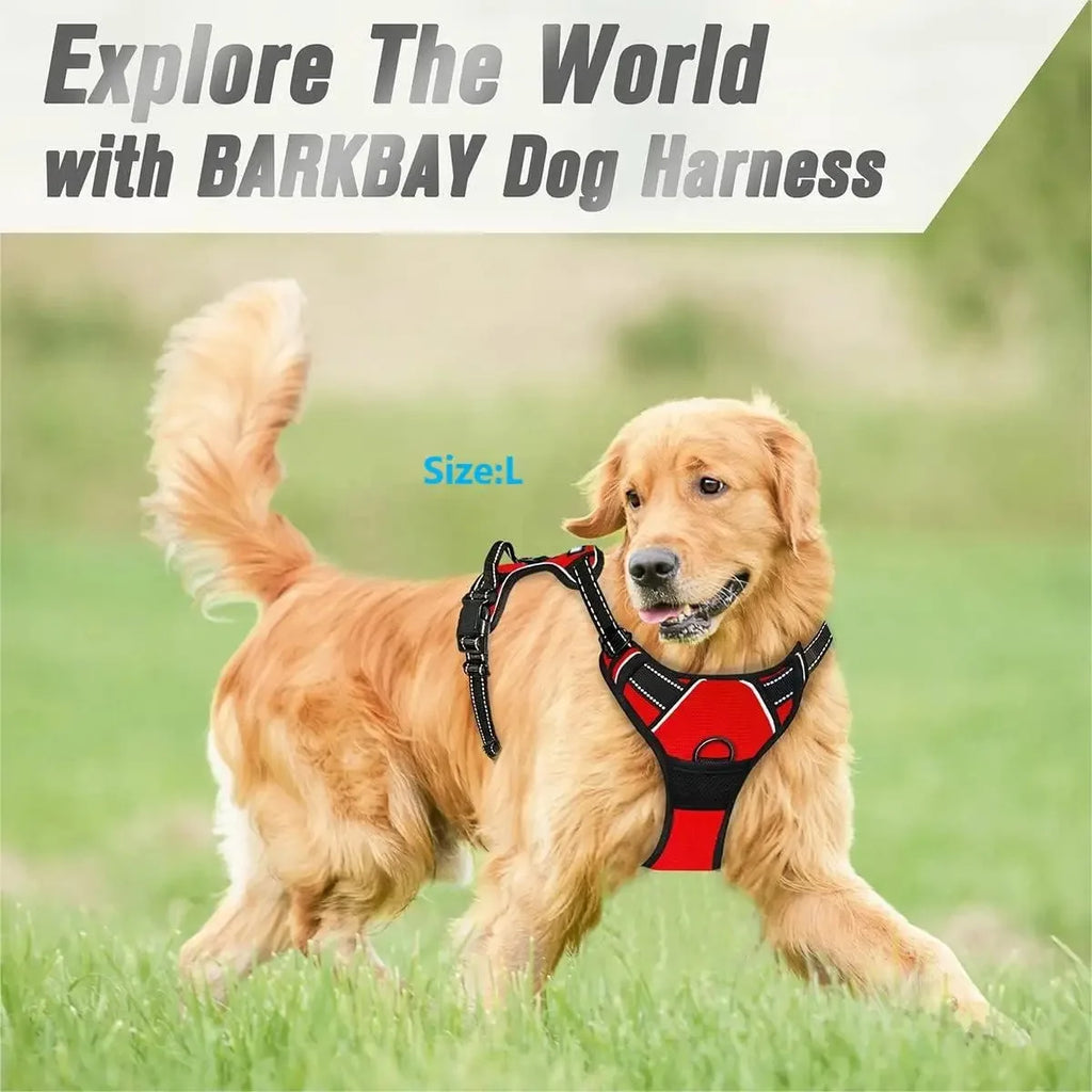 Dog Collars Harness Big Vests Leash  Accessories Medium Small Set