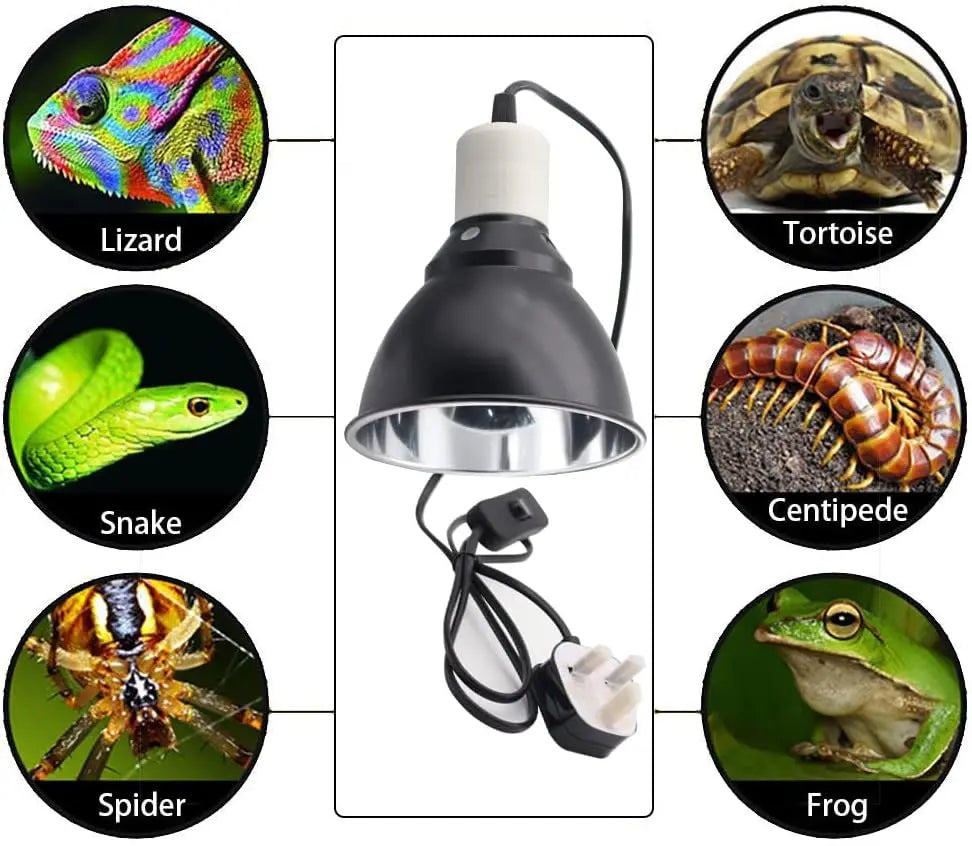 Reptile Pet Heat Lamp Holder Lampshade with Clip for UVA/UVB Bulb 300 Watt Reptile Heating Guard for Lizard Turtle Spider Chick