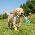 Cotton Rope & Rubber Dog Chew Ball, Treat Dispenser Toy.  Durable,