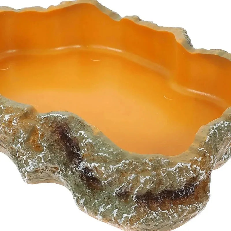 Reptile pet food basin drinking water basin reptile  food basin