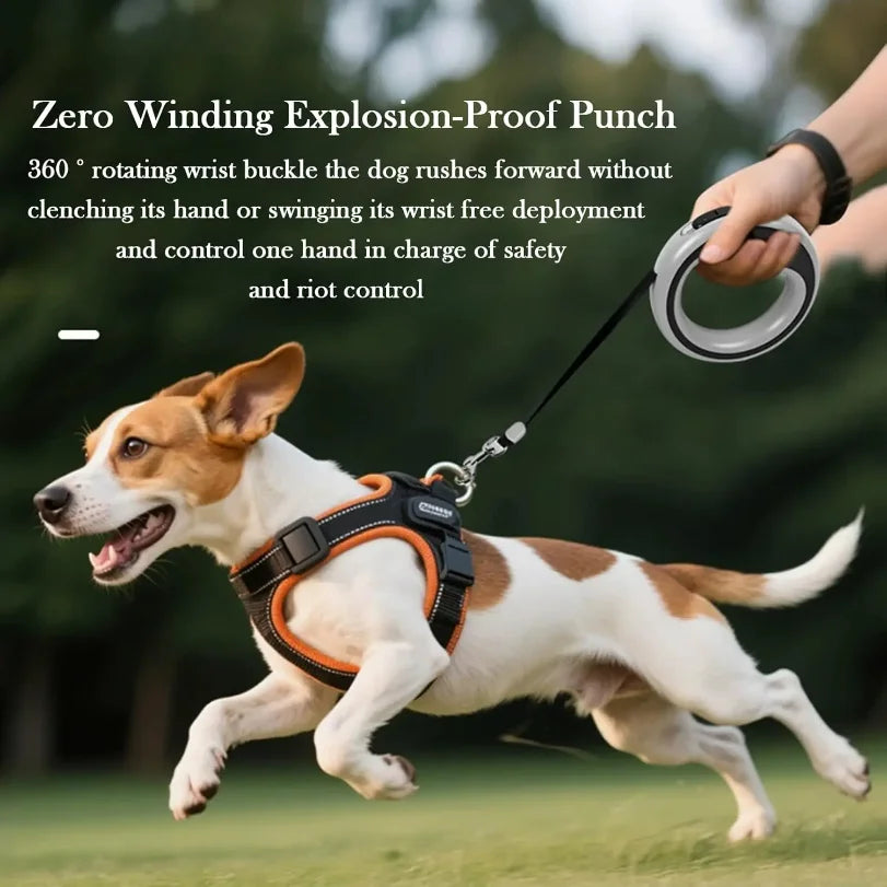 Retractable Dog Lead Heavy-Duty Extendable Dog Leads Strong Nylon Tape Leash One-Handed Brake  Lock Tangle-Free Design
