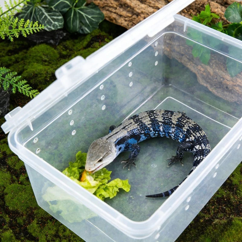 Reptile Box Terrarium  Tank Cage Portable Habitat Enclosure