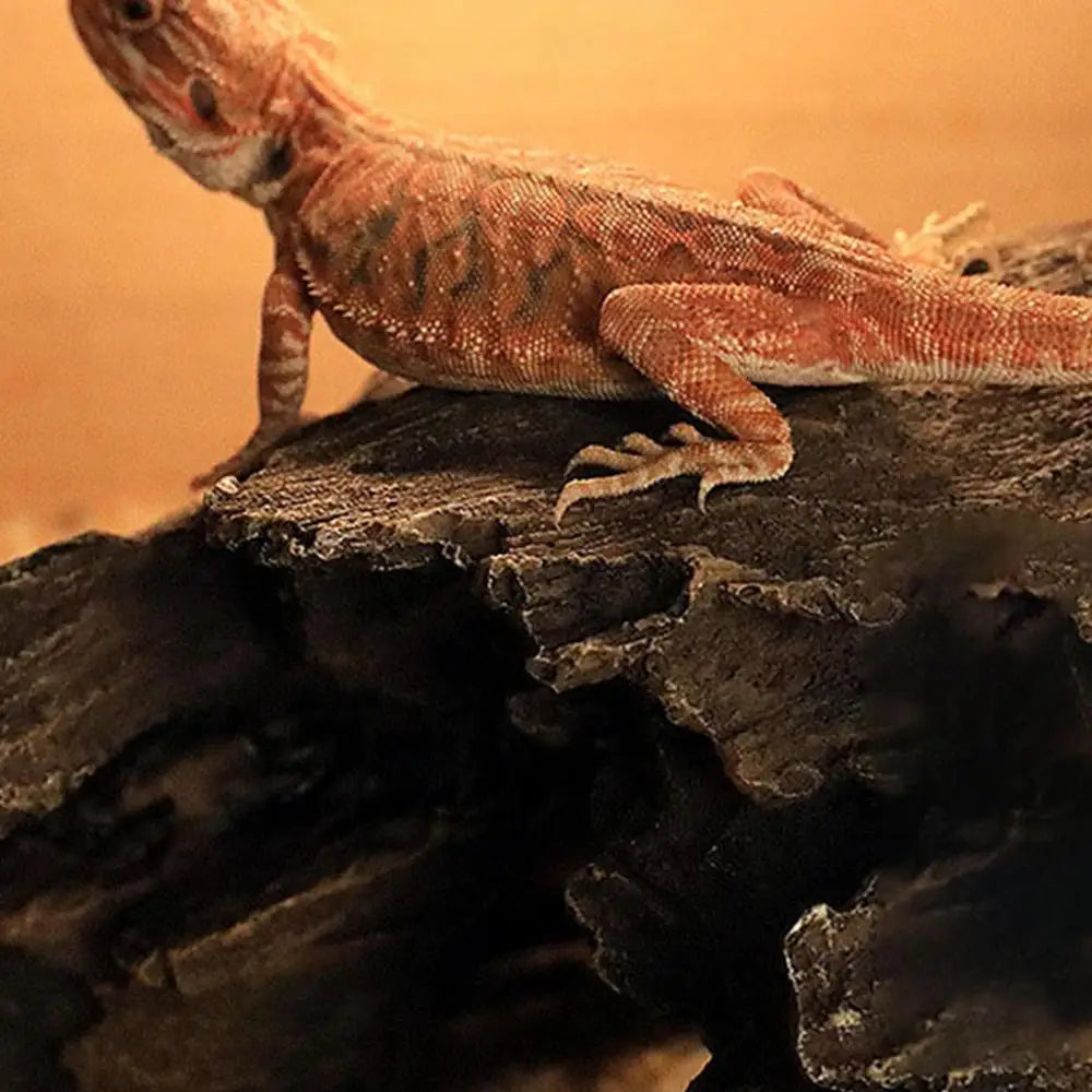 Reptile Hide Large Caves Reptile Hideouts Habitat Shelter Decor For Snakes Turtle Lizards Fish Amphibians Small Animals