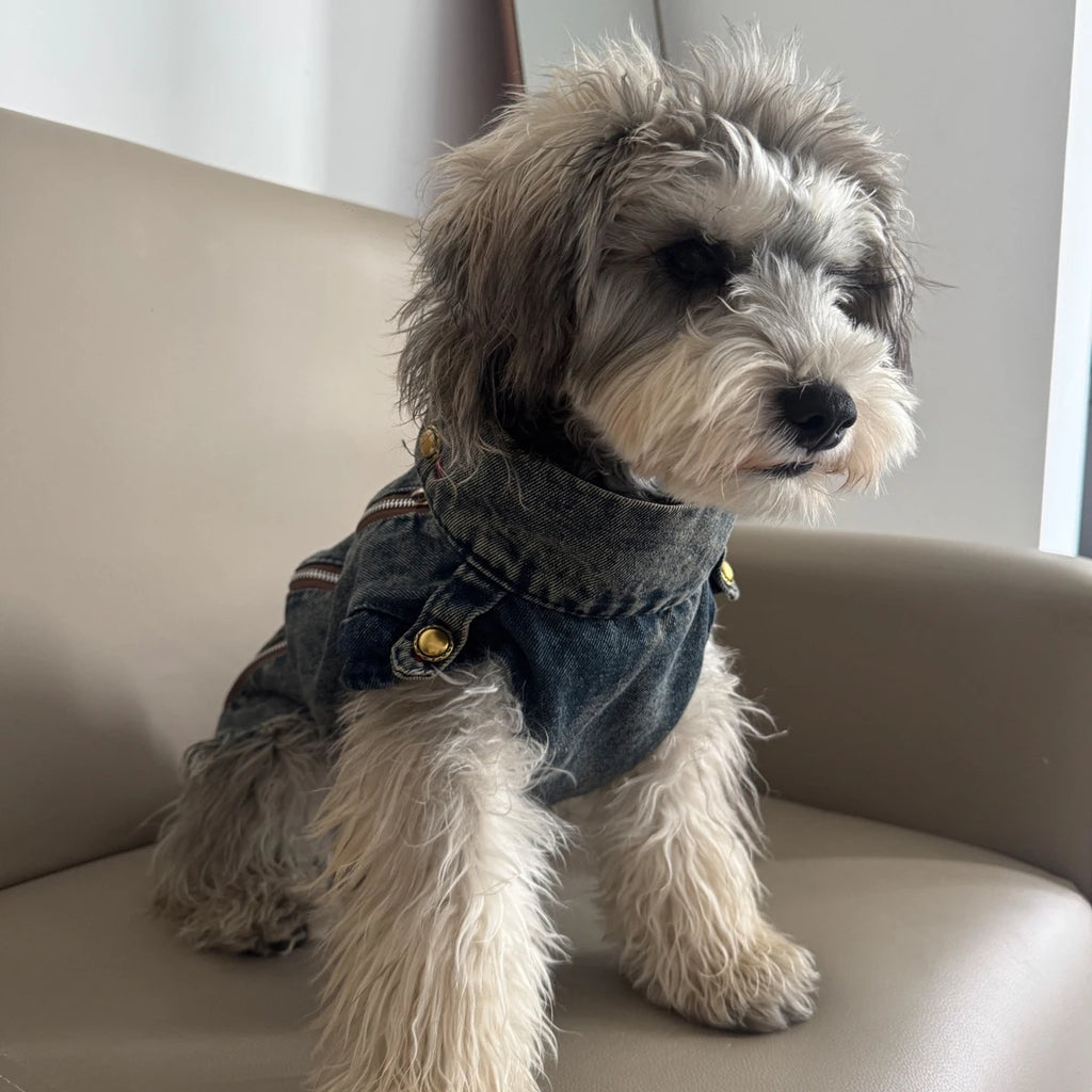 Spring Clothes for Small Medium Dogs Sleeveless Dog Shirt Cool Denim Vest Pet Jean small Dog For Cats Puppies