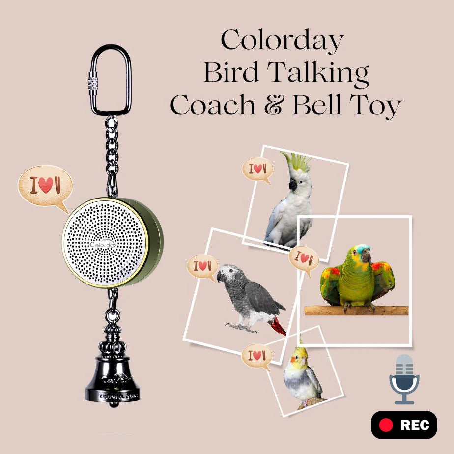 Bird Toys Parrot Talking Coach & Interactive Voice Bell Supplies