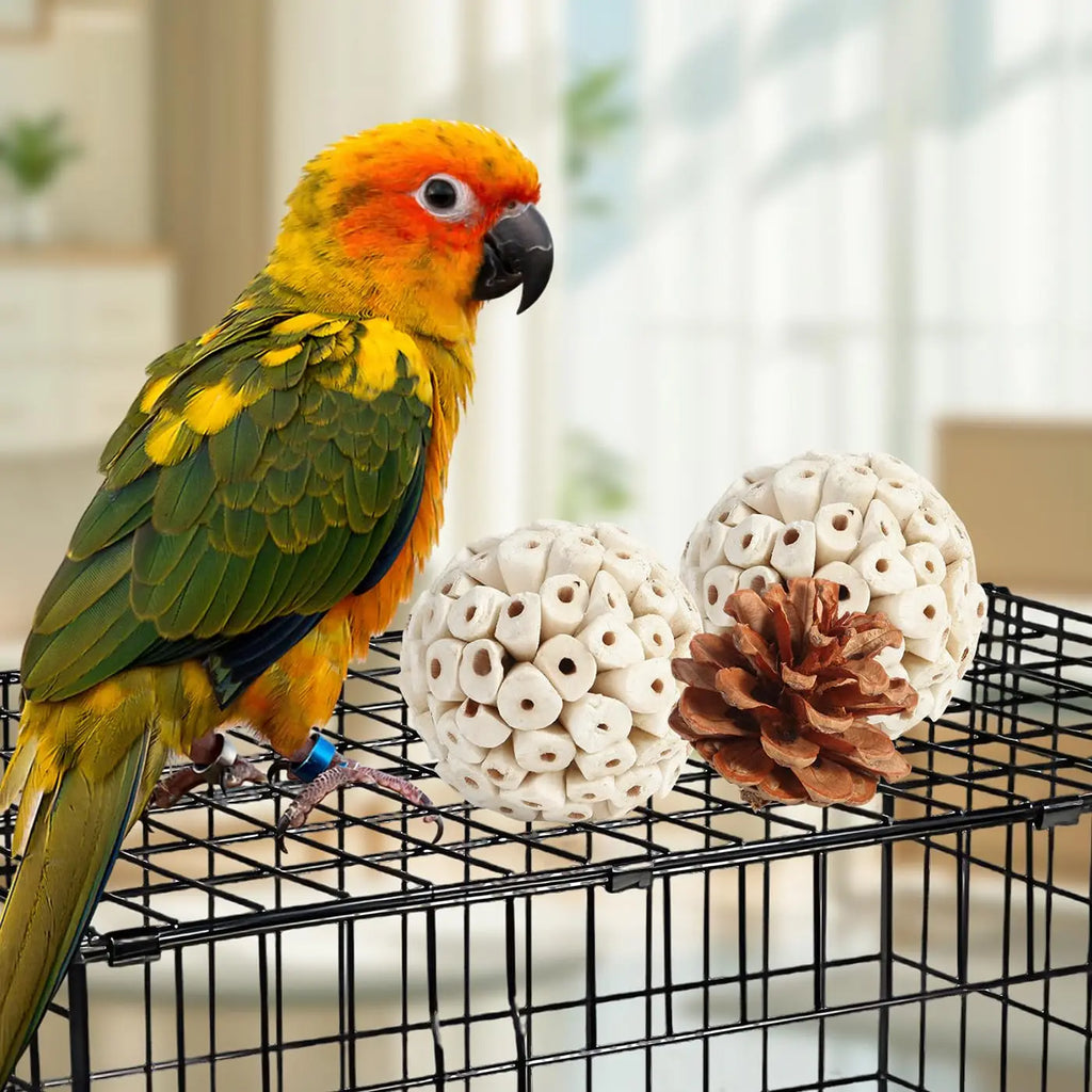 Bird Toys Parrot Natural Bird Foraging Box Foot Toys for Parakeets,Cockatiels,Conures, and Other Small to Medium Birds