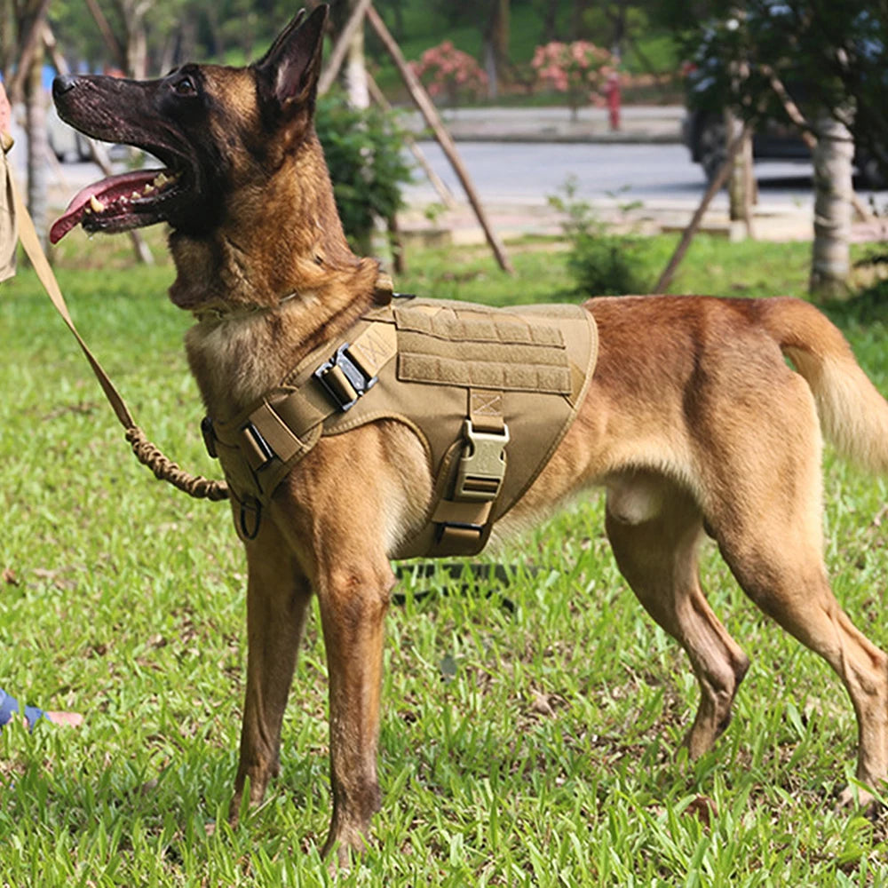 Harness And Leash Set Pet  Training Walking Vest Dog Harness And Collar For Medium Large Dogs