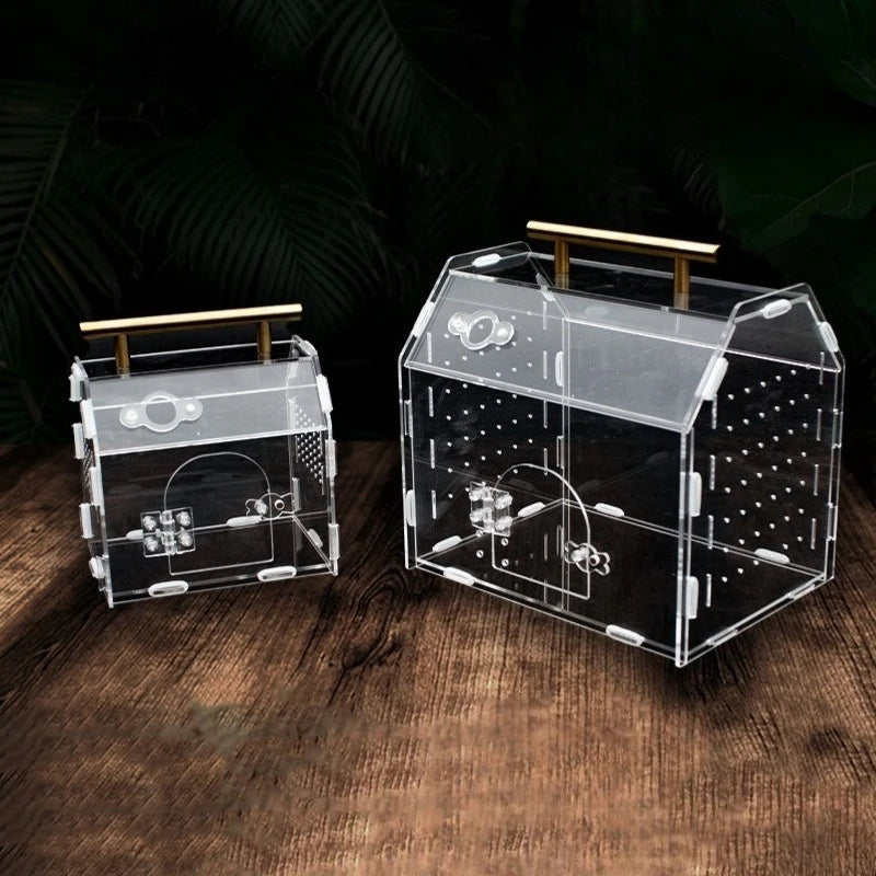 Reptile Terrarium Acrylic Portable  Small Reptile  Box Pet House