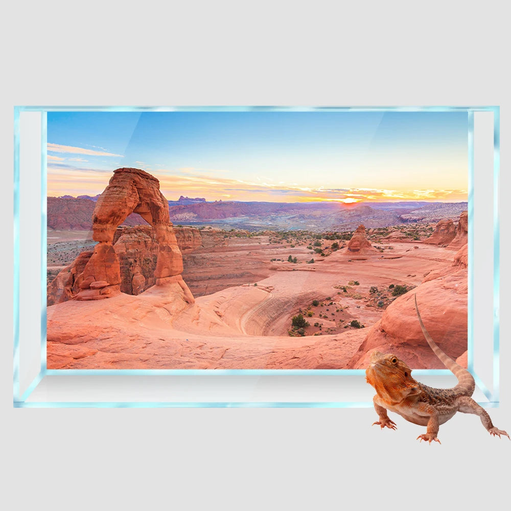 Reptile Habitat Aquarium Background Desert Red Rock 3D HD Printing Wallpaper Fish Tank Backdrop Decorations PVC Landscape Poster