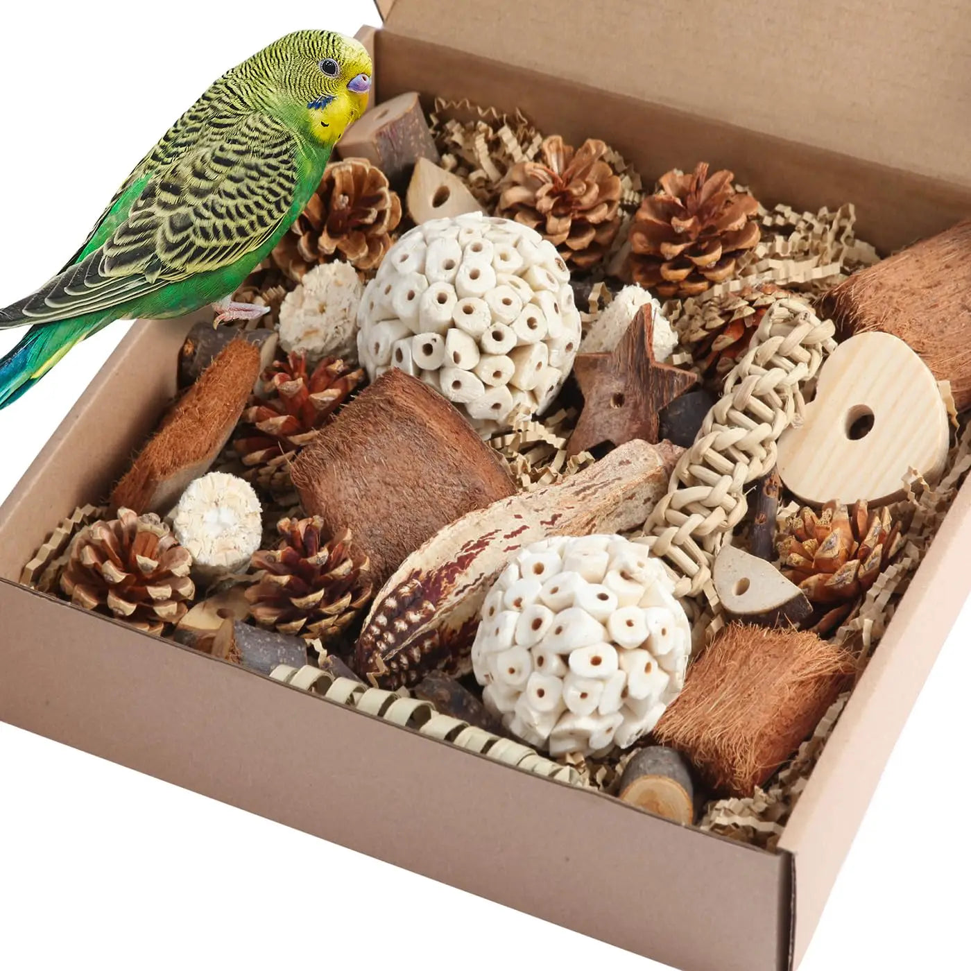 Bird Toys Parrot Natural Bird Foraging Box Foot Toys for Parakeets,Cockatiels,Conures, and Other Small to Medium Birds