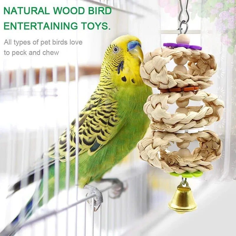 Colorful Bird Chewing Toys Set for Parrots Parakeets Shredding Hanging Foraging Toy with Rope Bungee