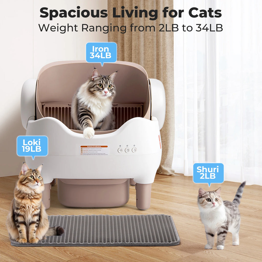 Self Cleaning Litter Box, Automatic Cat Litter Box with APP Control, Odor-Free  Large  Bin, Open-Top for Multi Cats