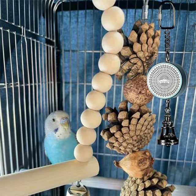 Bird Toys Parrot Talking Coach & Interactive Voice Bell Supplies