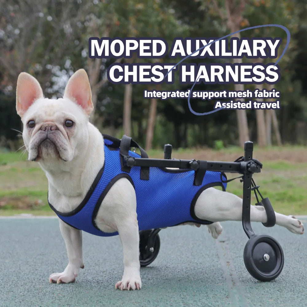 Disability dog travel assistive vehicle chest and back harness, dog rehabilitation exercise chest and back