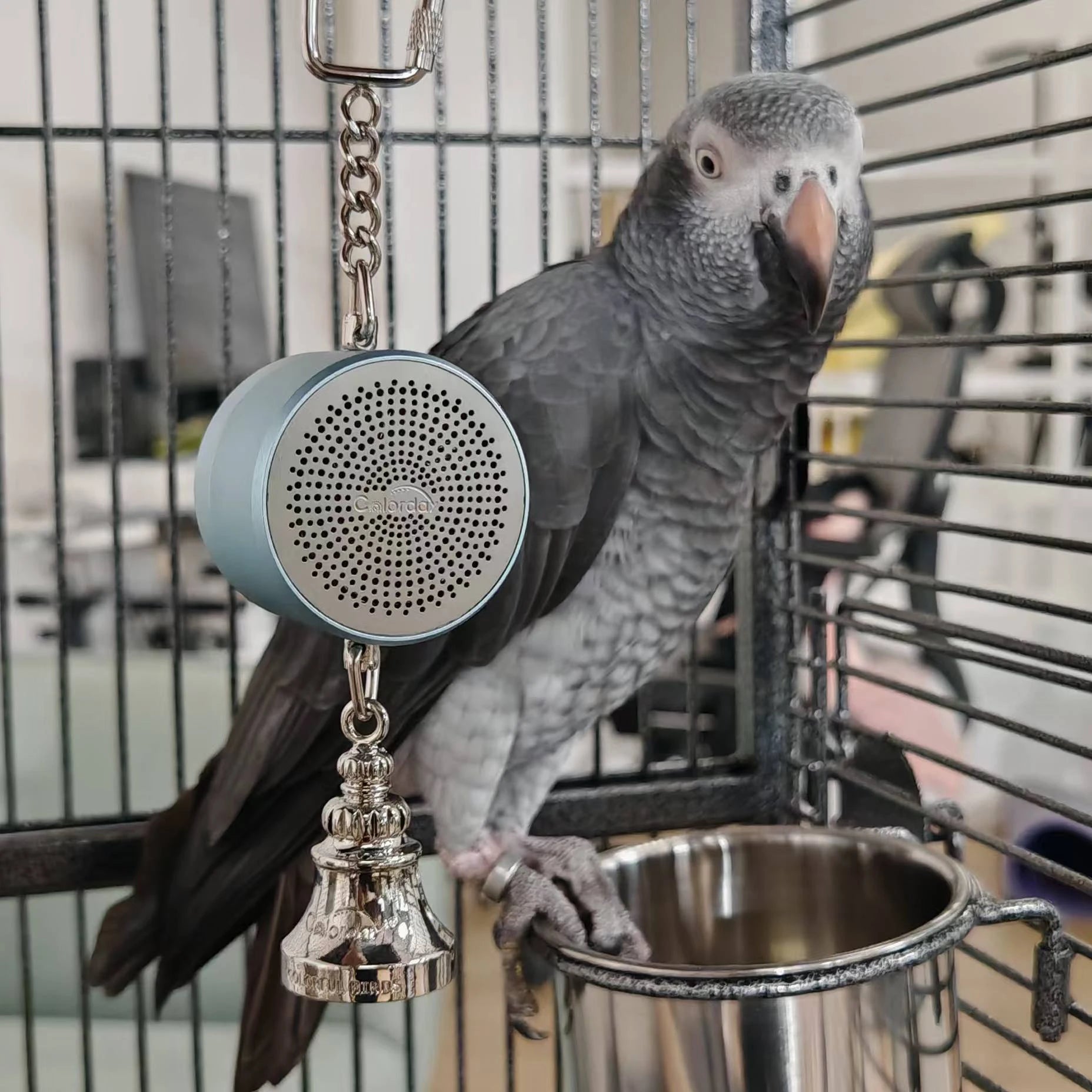 Bird Toys Parrot Talking Coach & Interactive Voice Bell Supplies
