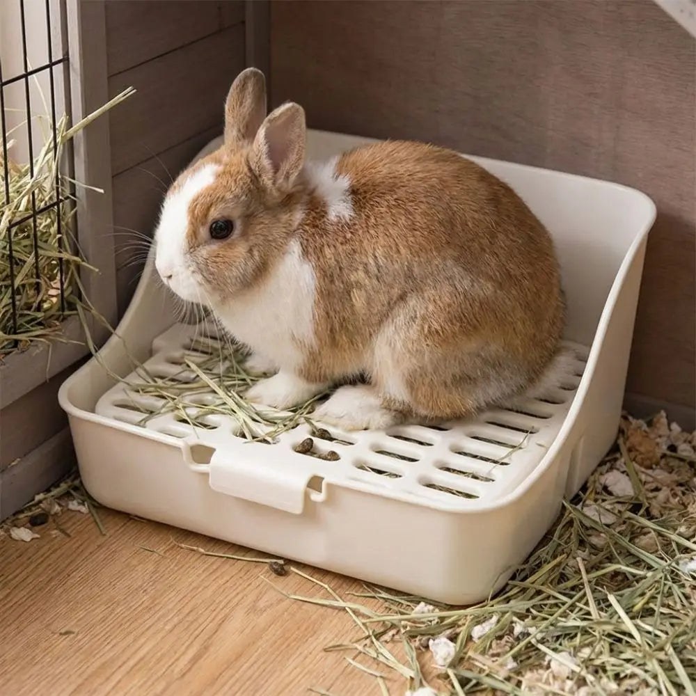 Small Pet Housing Anti-Tipping Rabbit Toilet Stable Splash-Proof Animal Litter Box Plastic Rectangular  Indoor Use