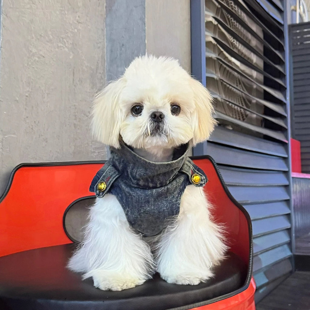 Spring Clothes for Small Medium Dogs Sleeveless Dog Shirt Cool Denim Vest Pet Jean small Dog For Cats Puppies