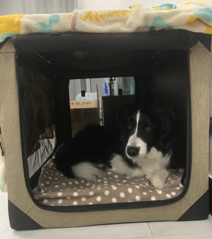Dog Crate Travel Foldable Pet Crate for Puppy/Small Dog  Fit for Indoor & Outdoor/Car Back Seat/Trunk