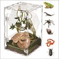 Transparent Acrylic Reptile Terrarium Breeding Box For Geckos Lizards Spiders And Insects Large Desktop Storage For Hobbyist