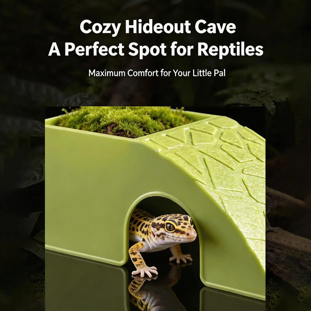 Reptile Food Dish 2 In 1 Decorative Shelter Water Bowl Terrarium Hideout Feeder